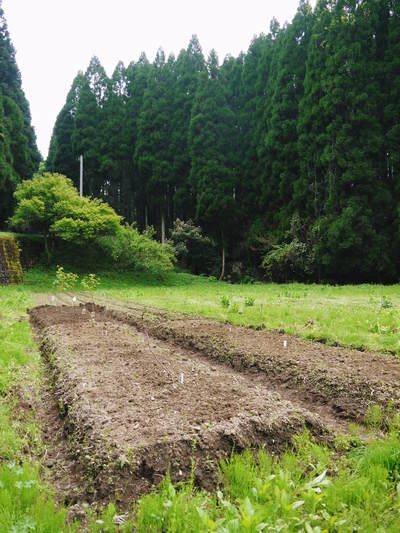 株式会社旬援隊 敷地内の様子!4月のダイジェスト!!_a0254656_14132510.jpg