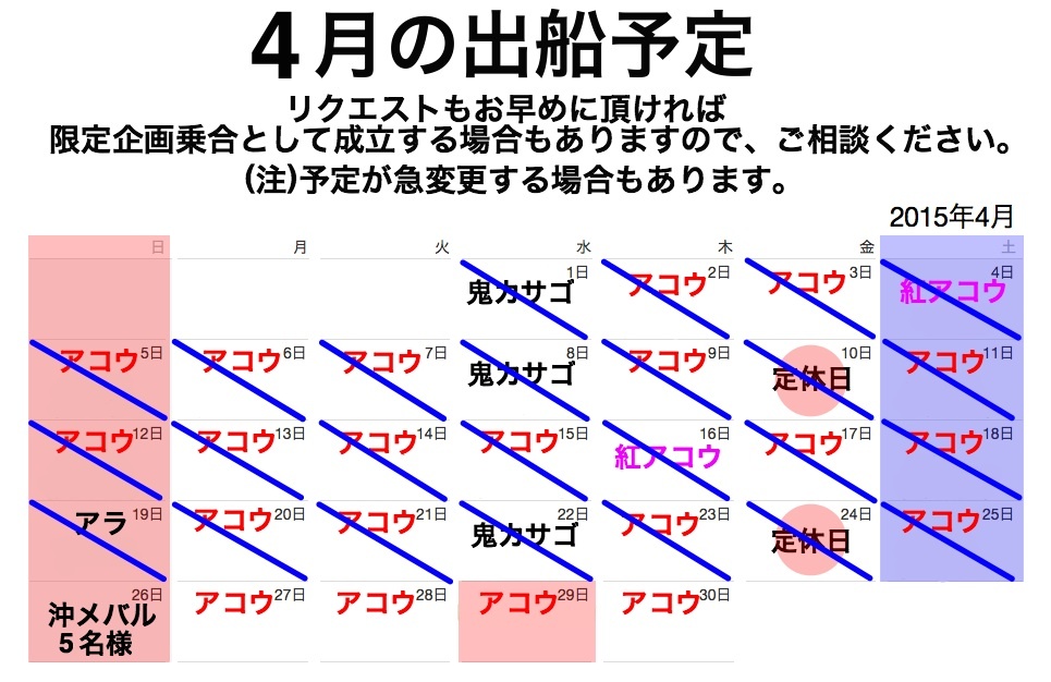 今日のアコウは_f0214557_16423039.jpg