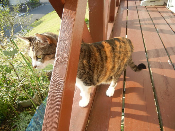’15,4,25(土)春は旅心をくすぐられます!_f0060461_1137254.jpg