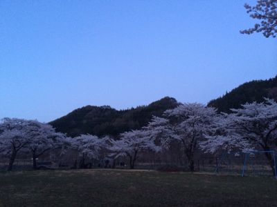 尾瀬の桜⭐️_c0151965_23272519.jpg
