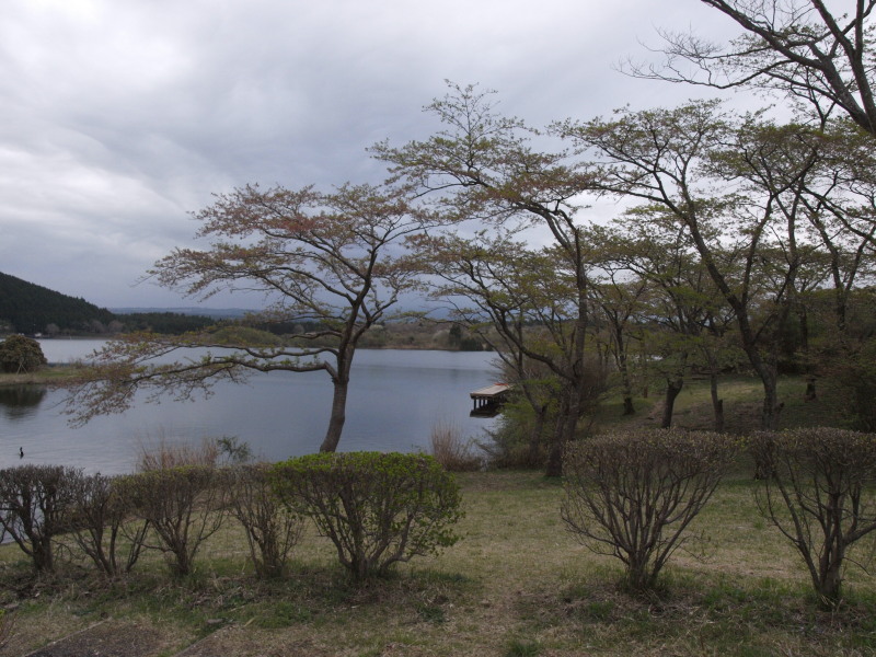 富士山一周 ぶらり旅　　　　_f0208666_16593148.jpg