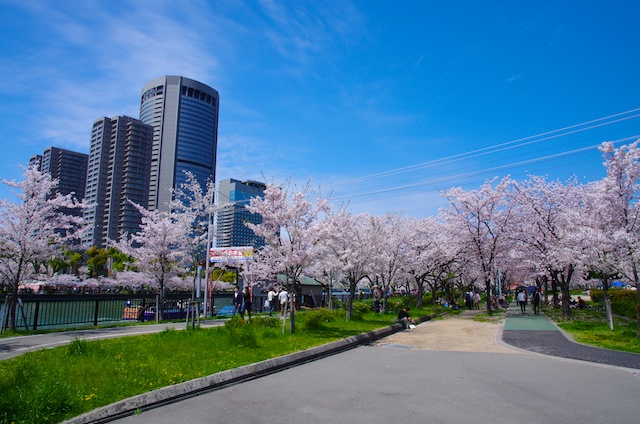 桜満開の帰り道_e0139376_14345217.jpg