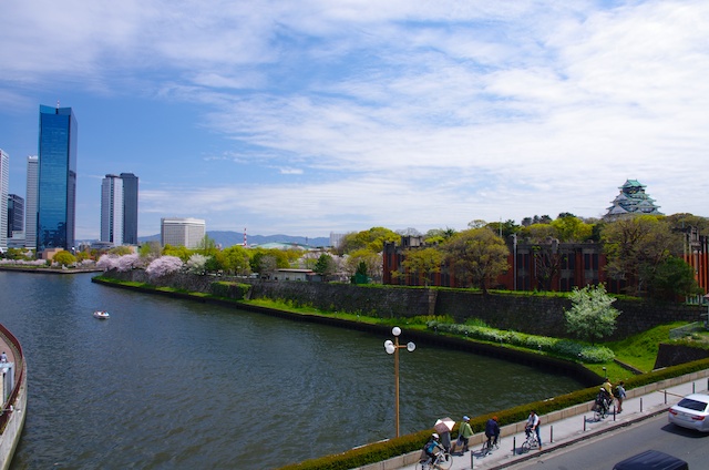 桜満開の帰り道_e0139376_1437279.jpg