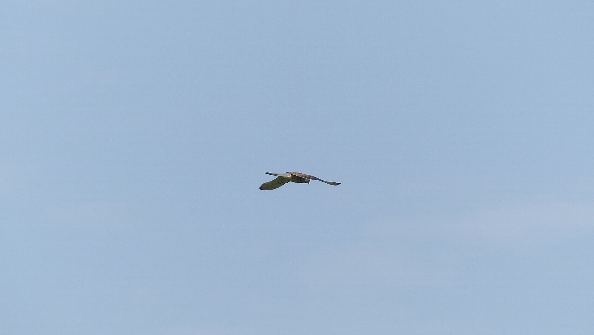 a0185081_8581677.jpg