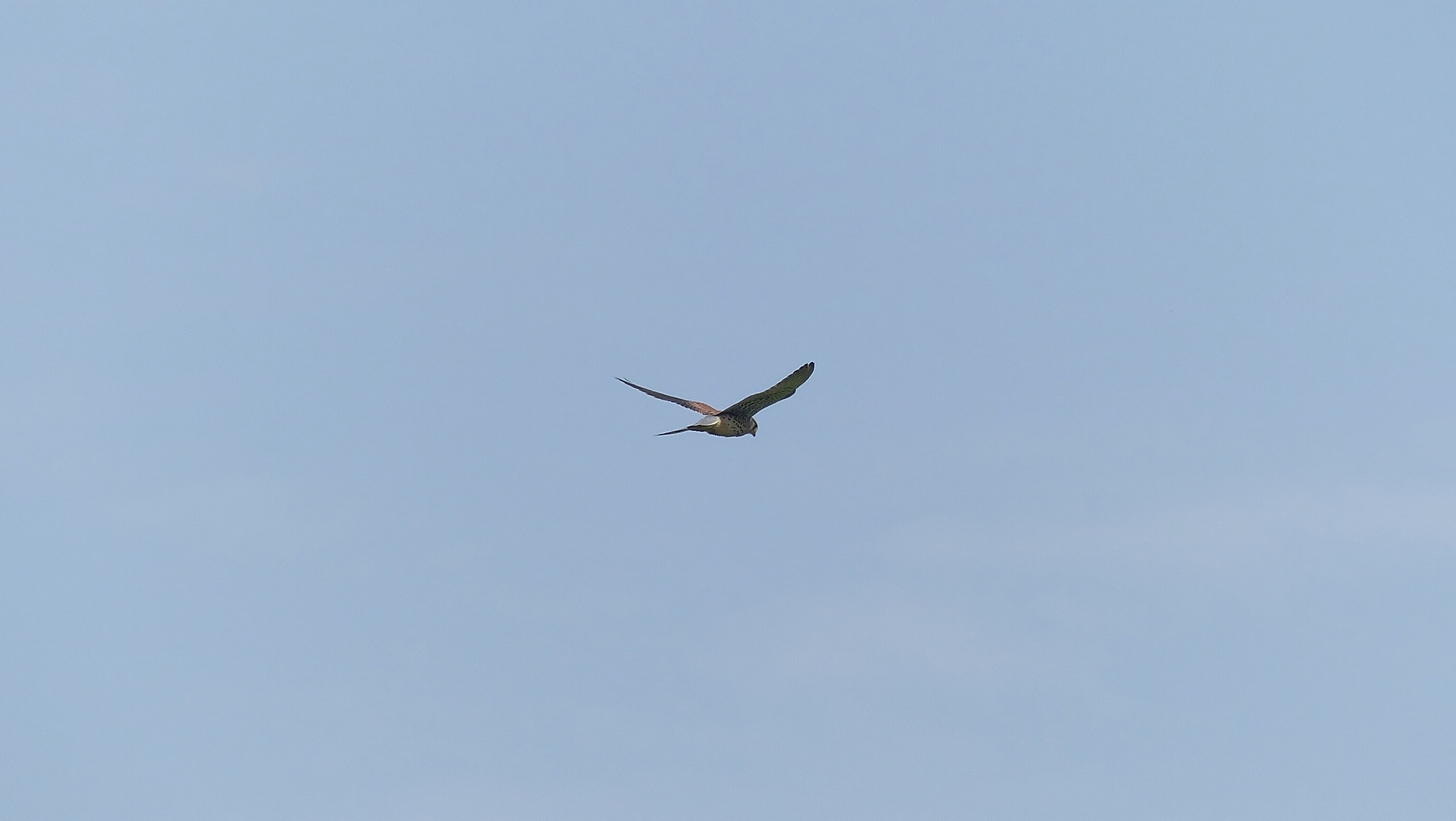 a0185081_8582923.jpg