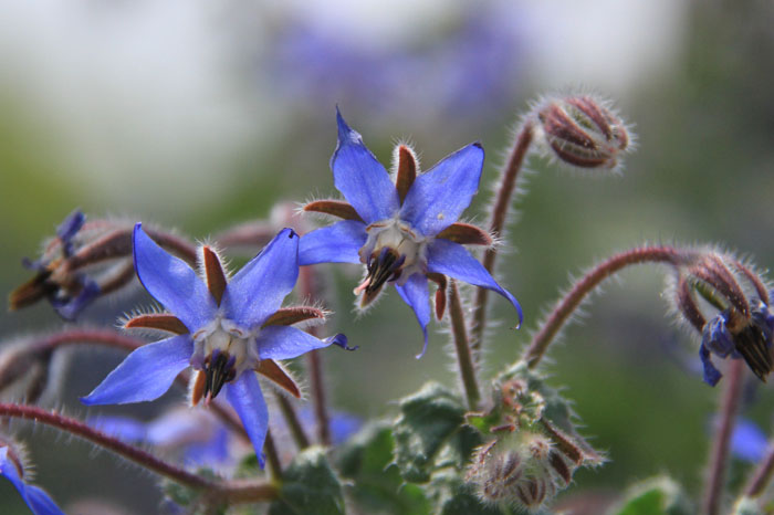 c0177785_601111.jpg