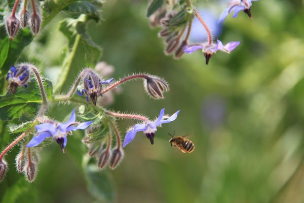 c0177785_60123.jpg
