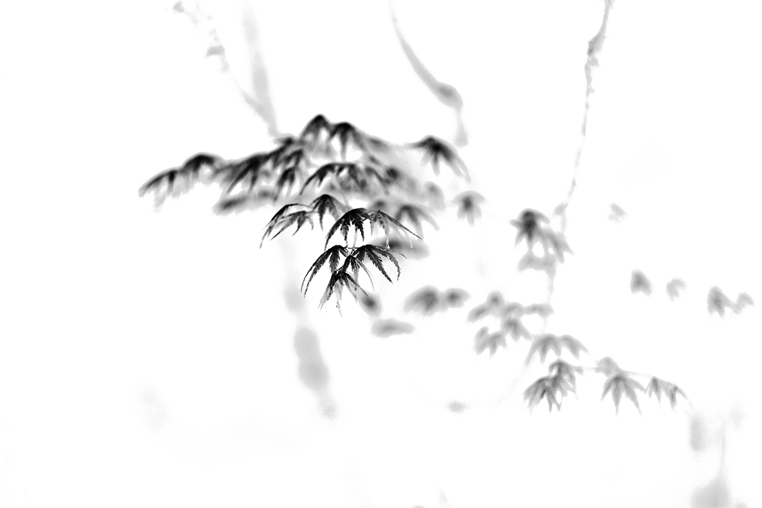 a0141586_7295051.jpg