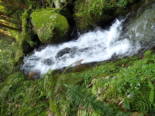 d0326888_22243566.jpg