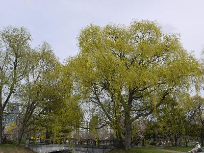 c0171889_1251740.jpg