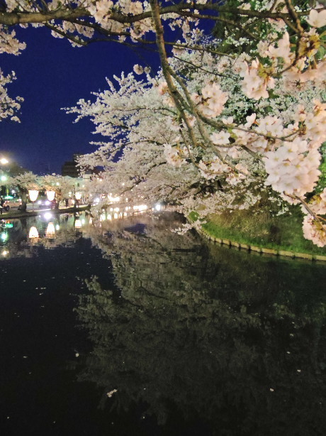弘前でふらふら～夜桜_b0029997_19455294.jpg