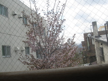 b0159098_948548.jpg