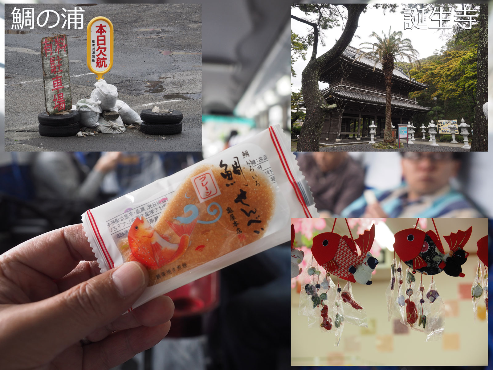 社員旅行(社会見学)2日目。「今日もハードスケジュール」_a0271402_1423275.jpg