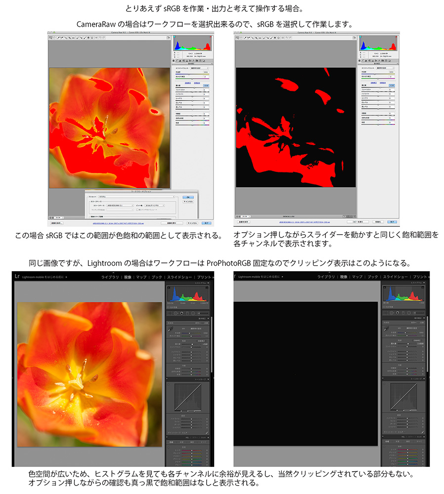 ACR9とLr6と事務所の外は工事_f0274403_20341760.jpg