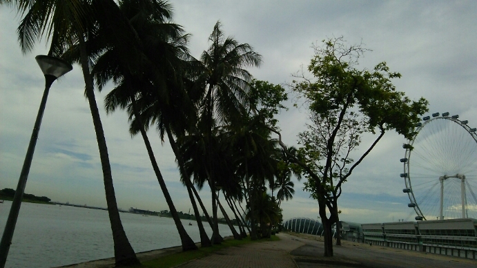 c0212604_1265521.jpg