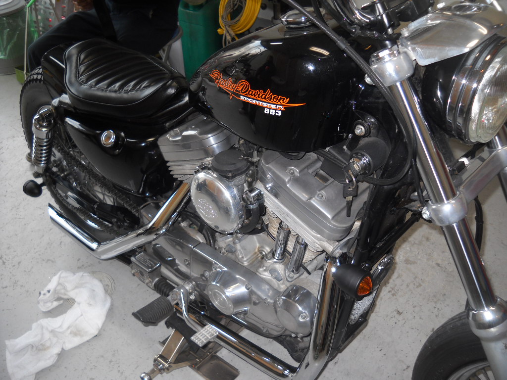 Tクン 晴れて鉄馬乗りになる 北摂に咲くサクラ 2 Tクン 晴れて鉄馬乗りになる 北摂に咲くサクラ 2