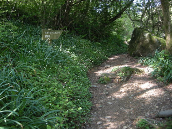 f0196109_17430155.jpg