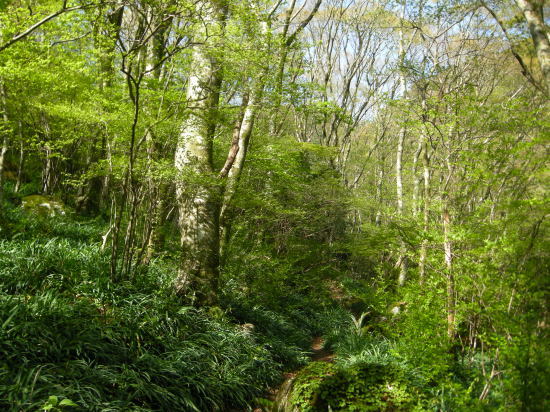 f0196109_17463423.jpg