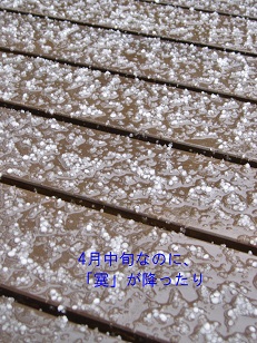 b0200310_1462313.jpg