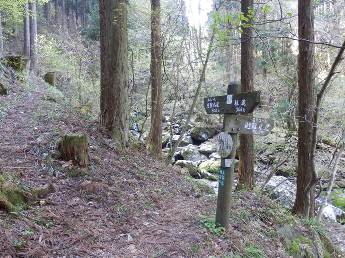 f0219710_754126.jpg