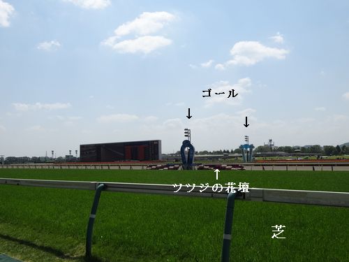 競馬場_d0048312_19574721.jpg