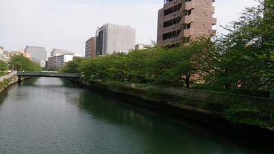 d0113613_1750359.jpg