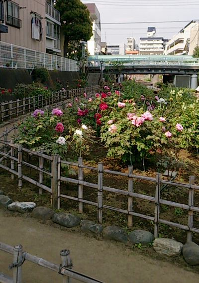 d0113613_17531824.jpg