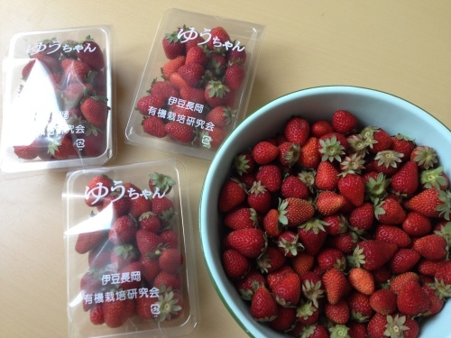 今日も動き回って、疲れました~(^^;_f0354014_20503648.jpg