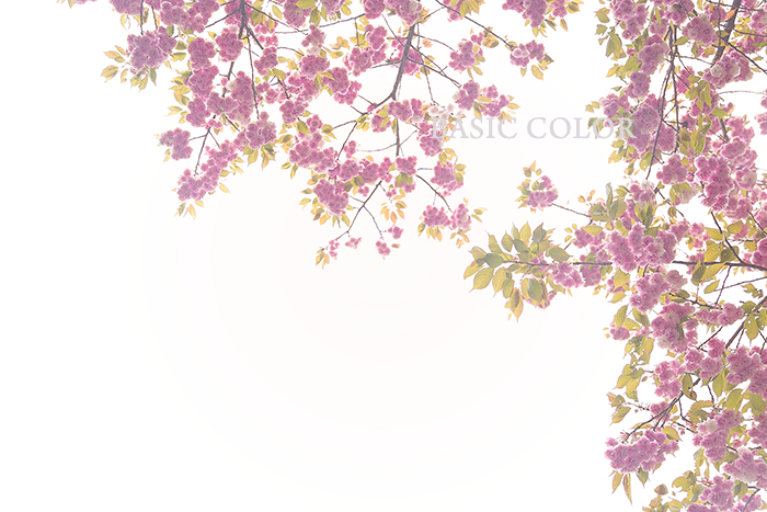 c0345215_16114280.gif