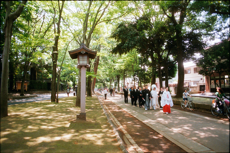 氷川神社の力？_c0365516_20373982.jpg