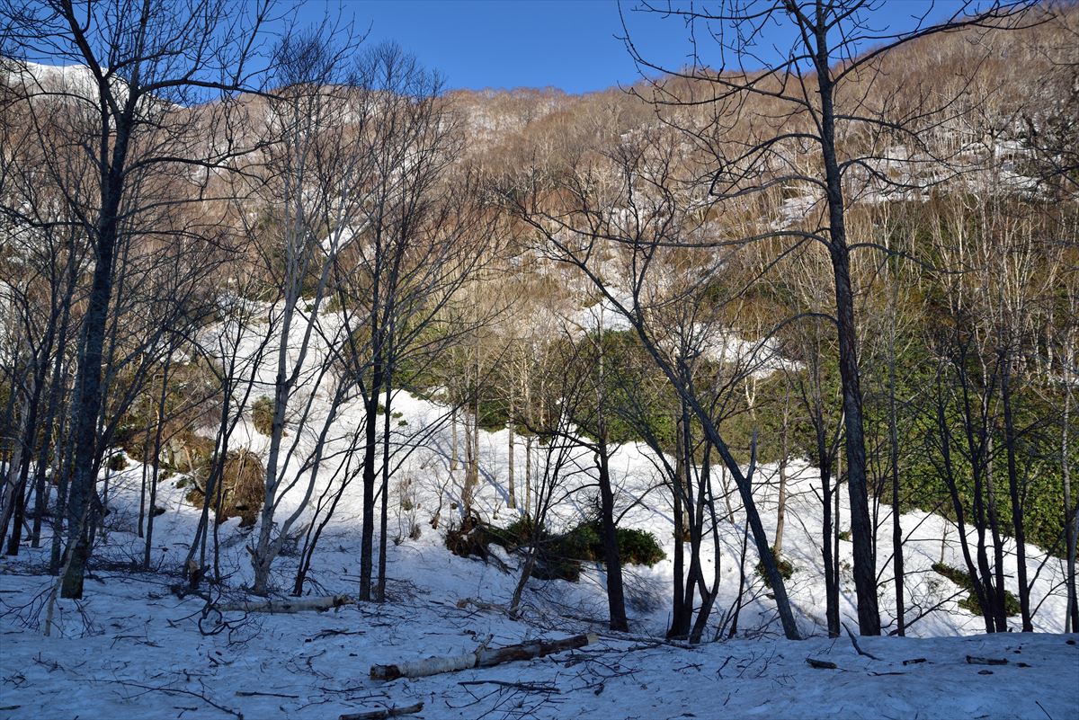 【3連敗】 トヨニ岳で強風撤退　2015.4.26_a0145819_23213157.jpg