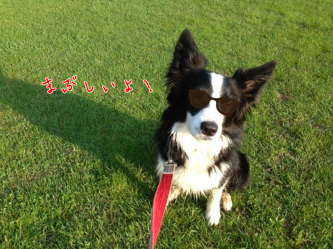a0232619_19321165.png