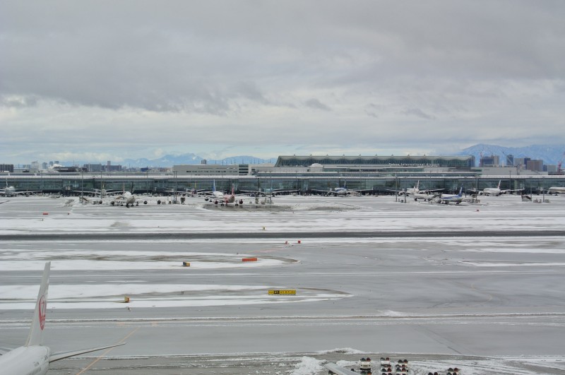 竣工旅行？　　羽田空港１泊２日珍道中(^_^;)_c0158519_10532632.jpg