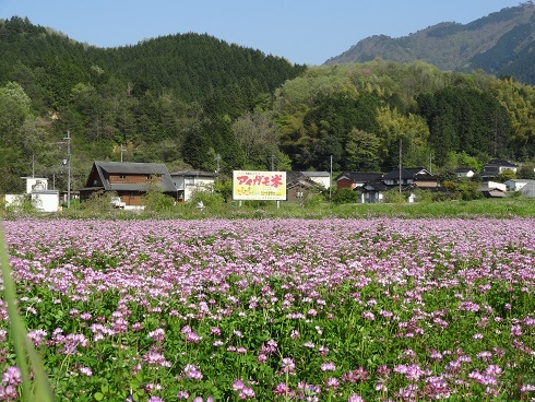 f0000521_20481308.jpg