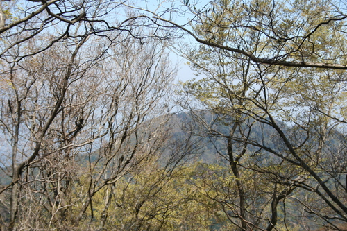 f0193521_21949.jpg