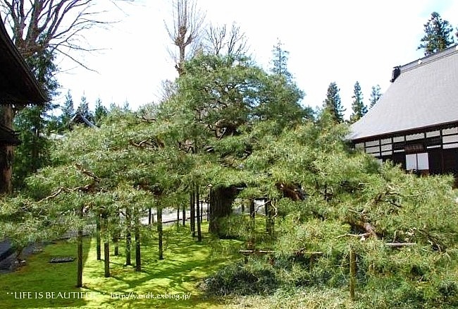 追いかけて_d0083623_23313897.jpg