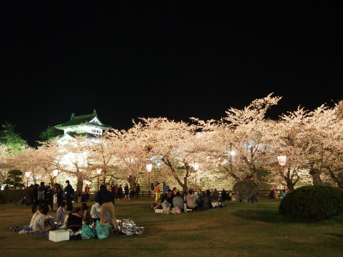 弘前公園の夜桜*2015.04.25_b0147224_2144105.jpg