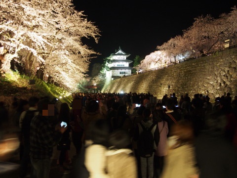 弘前公園の夜桜*2015.04.25_b0147224_21473757.jpg