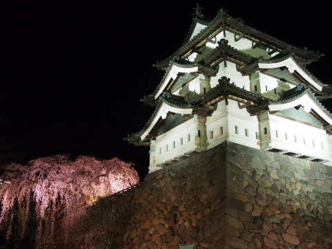 弘前公園の夜桜*2015.04.25_b0147224_21495161.jpg