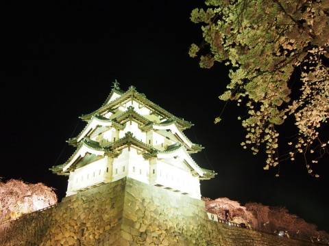弘前公園の夜桜*2015.04.25_b0147224_214968.jpg