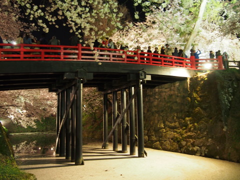 弘前公園の夜桜*2015.04.25_b0147224_21513932.jpg