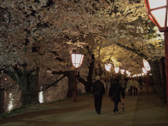 弘前公園の夜桜*2015.04.25_b0147224_21581457.jpg