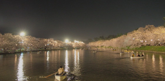 弘前公園の夜桜*2015.04.25_b0147224_2202165.jpg