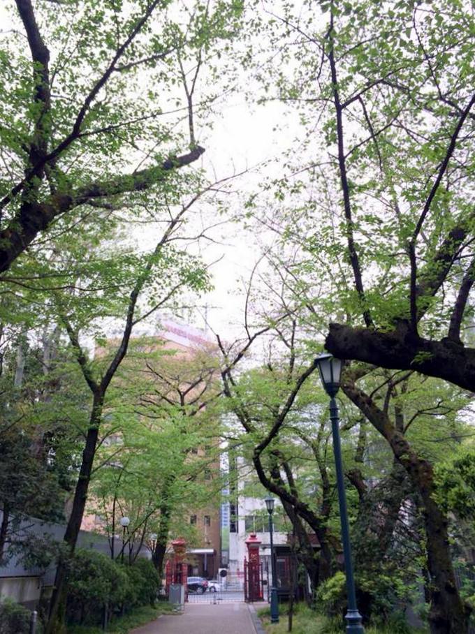 恒例の!_a0231828_12031831.jpg