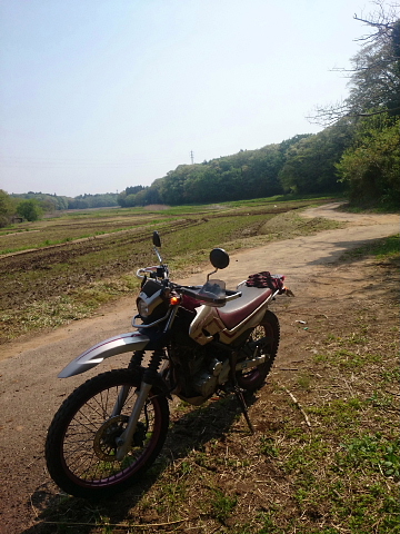 a0222229_3404734.jpg