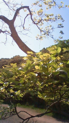 b0279129_19155552.jpg