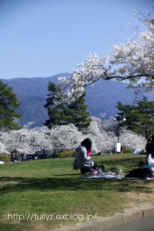 城山公園（２）_d0108132_047756.jpg