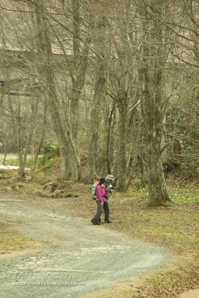 県北の春_b0197639_9242930.jpg