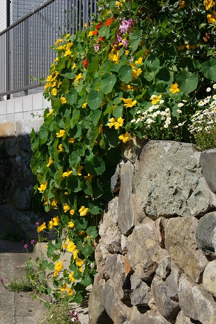 c0298740_21465060.jpg