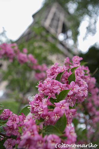 春色のエッフェル塔周りの公園_c0024345_14375875.jpg